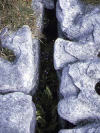 Burren2